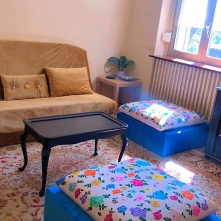 Gite "La Baloise" Colmar Dış mekan fotoğraf