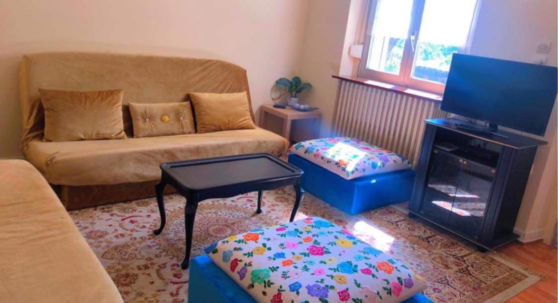 Gite "La Baloise" Colmar Dış mekan fotoğraf