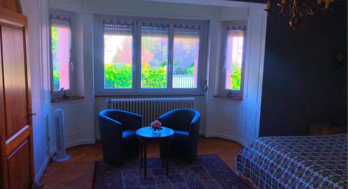 Gite "La Baloise" Colmar Dış mekan fotoğraf