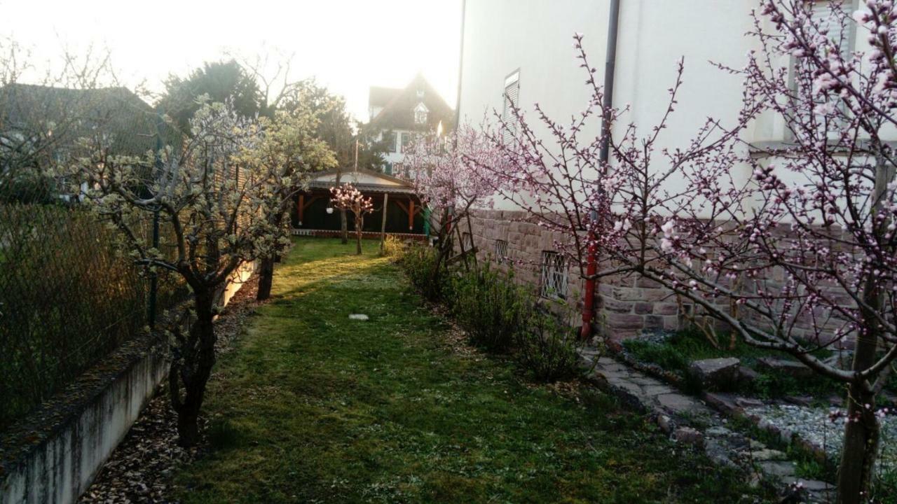 Gite "La Baloise" Colmar Dış mekan fotoğraf